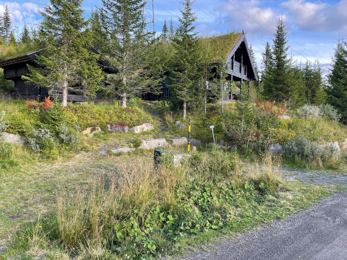 Ski And Bike-In And Out Hafjell Exterior foto